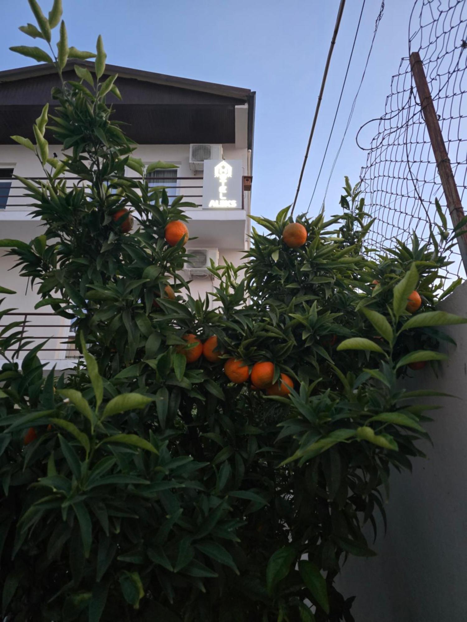 Hotel Aleks Shkoder Exterior photo