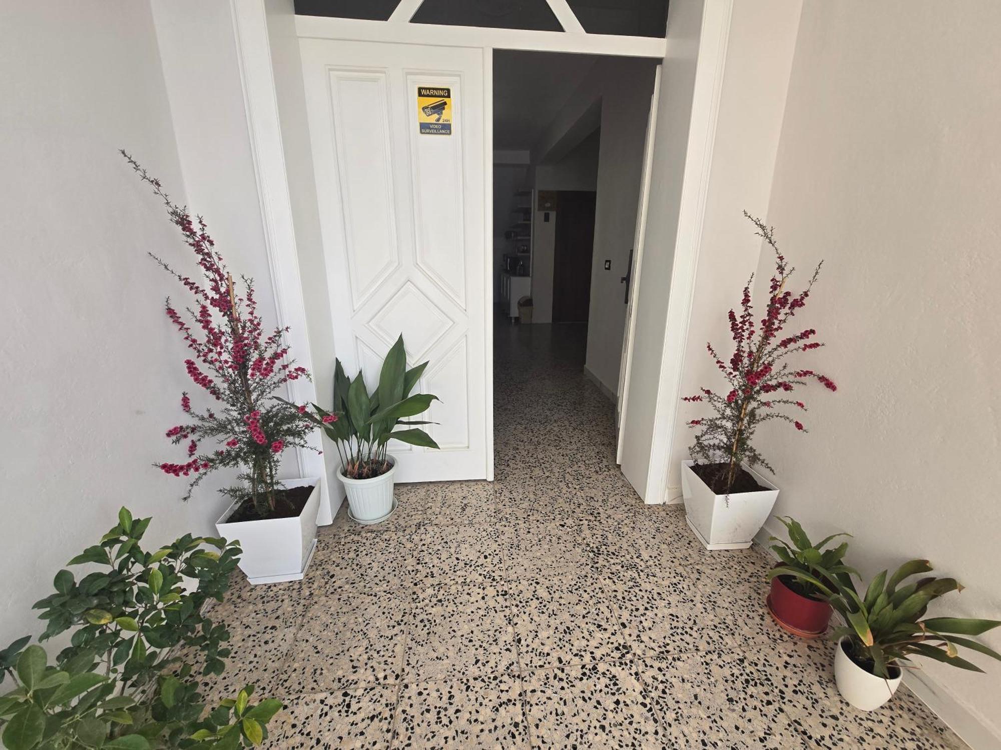 Hotel Aleks Shkoder Exterior photo